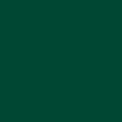 Фон бумажный BD 2,72х11 м Зеленный (Jade) (BD137A1) Фон бумажный BD 2,72х11 м Зеленный (Jade) (BD137A1)