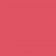 Фон бумажный BD 2,72х11 м Розовый (Passion Pink) (BD192A1) Фон бумажный BD 2,72х11 м Розовый (Passion Pink) (BD192A1)