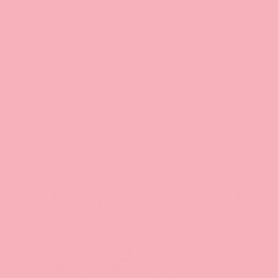Фон бумажный BD 1,35х11 м Розовый (Pastel Pink) (BD117A2) Фон бумажный BD 1,35х11 м Розовый (Pastel Pink) (BD117A2)