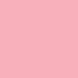 Фон бумажный BD 2,72х11 м Розовый (Pastel Pink) (BD117A1) Фон бумажный BD 2,72х11 м Розовый (Pastel Pink) (BD117A1)