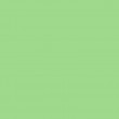 Фон бумажный BD 2,72х11 м Зеленый (Spring Green) (BD174A1) Фон бумажный BD 2,72х11 м Зеленый (Spring Green) (BD174A1)