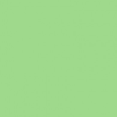 Фон бумажный BD 2,72х11 м Зеленый (Spring Green) (BD174A1) Фон бумажный BD 2,72х11 м Зеленый (Spring Green) (BD174A1)