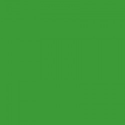 Фон бумажный BD 2,72х11 м Зеленый (Veri Green) (BD132A1)