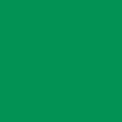 Фон бумажный BD 1,35х11 м Зеленый (Foto Green) (BD162A2)