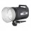 Студийная вспышка Elinchrom STYLE RX 300 (300Дж)