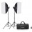 Набор студийного света Godox MS200V-F