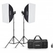 Набор студийного света Godox MS300V-F Набор студийного света Godox MS300V-F