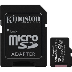 Карта памяти Kingston microSDXC 256GB Class 10 UHS-I R100MB/s + SD адаптер