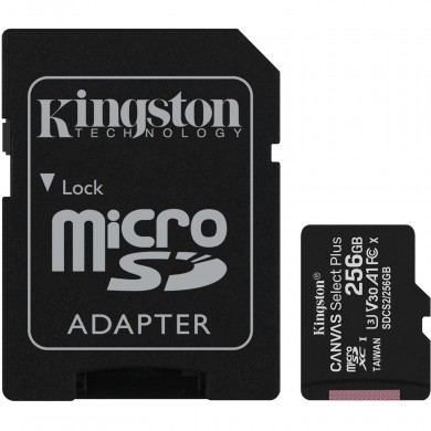 Карта памяти Kingston microSDXC 256GB Class 10 UHS-I R100MB/s + SD адаптер