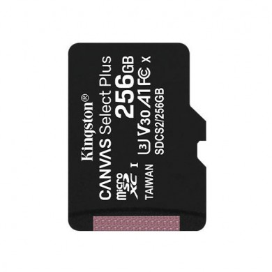 Карта памяти Kingston microSDXC 256GB Class 10 UHS-I R100MB/s