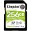 Карта памяти Kingston SD 256GB C10 UHS-I R100MB/s