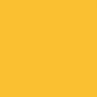 Фон бумажный Mircopro 14 Forsythia Yellow 2,75х10 м. Фон бумажный Mircopro 14 Forsythia Yellow 2,75х10 м.
