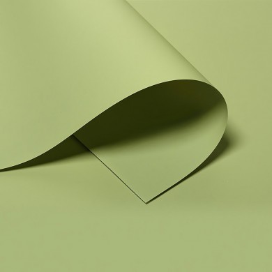 Фон виниловый Mircopro Оливковый 150х200 см. (PVC-Green_150200) Фон виниловый Mircopro Оливковый 150х200 см. (PVC-Green_150200)