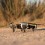 Посадочное шасси PolarPro AR-LG для DJI Mavic Air