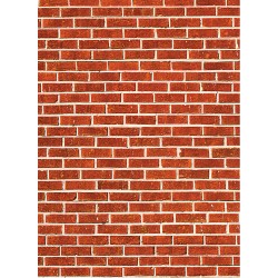 Напольный фон Savage Floor Drops Red Brick 1.52 x 2.13 м