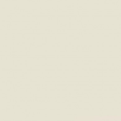 Фон бумажный Savage Widetone Light Gray 2,72 x 11 м. Фон бумажный Savage Widetone Light Gray 2,72 x 11 м.