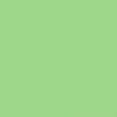Фон бумажный Savage Widetone Mint Green 2,72 x 11 м. Фон бумажный Savage Widetone Mint Green 2,72 x 11 м.