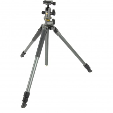 Штатив Vanguard Alta Pro 2+ 263AB 100 Штатив Vanguard Alta Pro 2+ 263AB 100