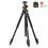 Штатив Vanguard Alta Pro 263AB 100