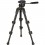 Штатив Vanguard Espod CX 1