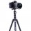 Штатив Vanguard Vesta TB 204AB
