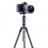 Штатив Vanguard Vesta TB 204CB