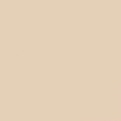 Фон бумажный Savage Widetone Egg Nog 2,72 x 11 м. Фон бумажный Savage Widetone Egg Nog 2,72 x 11 м.