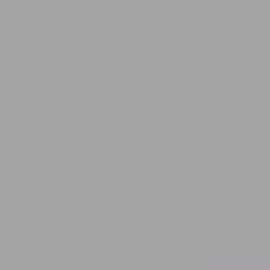Фон бумажный Savage Widetone Stone Gray 2,72 x 11 м. Фон бумажный Savage Widetone Stone Gray 2,72 x 11 м.